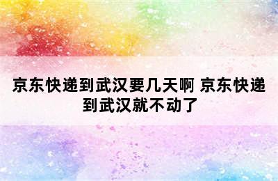 京东快递到武汉要几天啊 京东快递到武汉就不动了